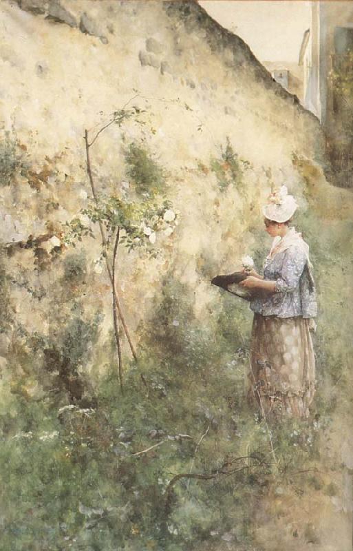 Carl Larsson The Old Wall Norge oil painting art